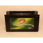 Power Max    12 Volt  Battery (GTZ10S)