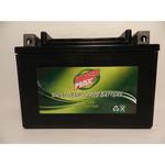 Power Max 12 Volt Battery (GTZ14S)