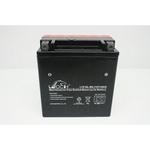 LEOCH Power Sport 12 Volt Battery (LTX16L-BS), Dry Charged AGM Maintenance Free