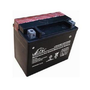 LEOCH Power Sport 12 Volt Battery (LTX12-BS), Dry Charged AGM Maintenance Free