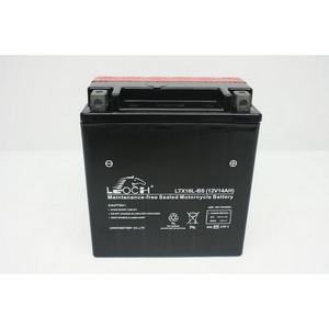 LEOCH Power Sport 12 Volt Battery (LTX16L-BS), Dry Charged AGM Maintenance Free