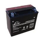 LEOCH Power Sport 12 Volt Battery (LTX20-BS), Dry Charged AGM Maintenance Free